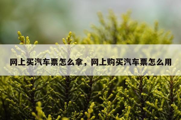 网上买汽车票怎么拿，网上购买汽车票怎么用