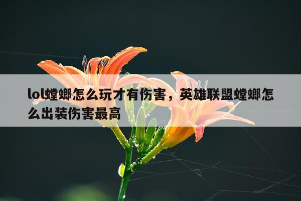 lol螳螂怎么玩才有伤害，英雄联盟螳螂怎么出装伤害最高