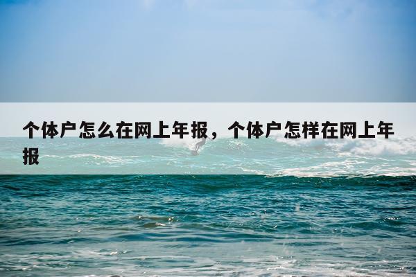 个体户怎么在网上年报，个体户怎样在网上年报
