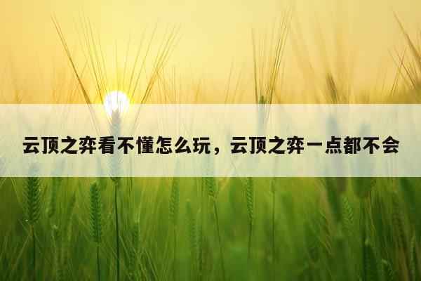 云顶之弈看不懂怎么玩，云顶之弈一点都不会