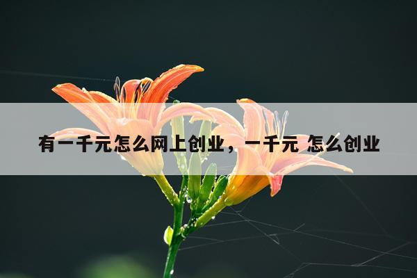 有一千元怎么网上创业，一千元 怎么创业