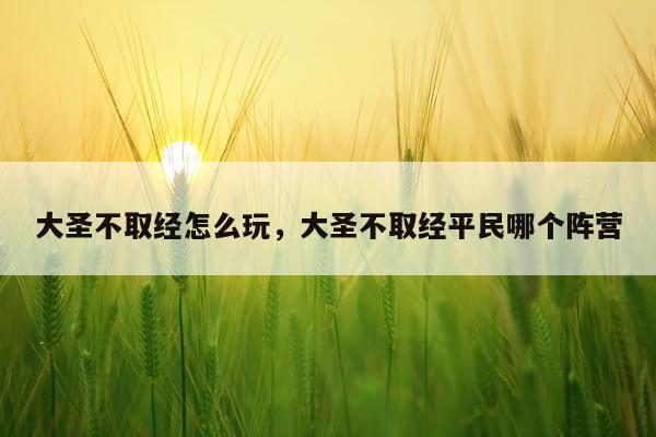 大圣不取经怎么玩，大圣不取经平民哪个阵营