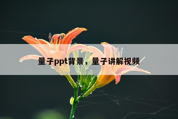 量子ppt背景，量子讲解视频