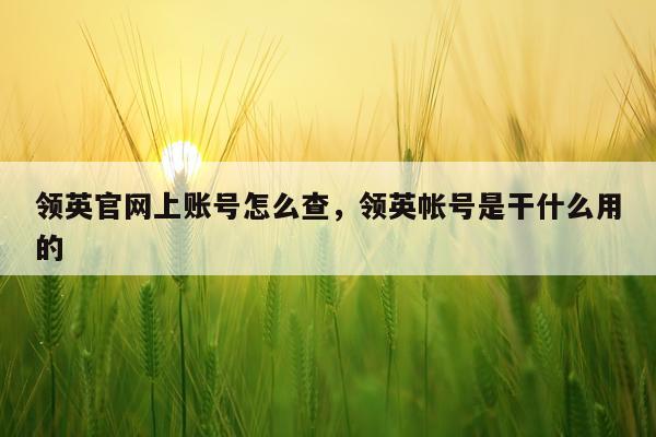 领英官网上账号怎么查，领英帐号是干什么用的