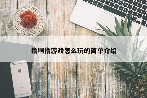 撸啊撸游戏怎么玩的简单介绍