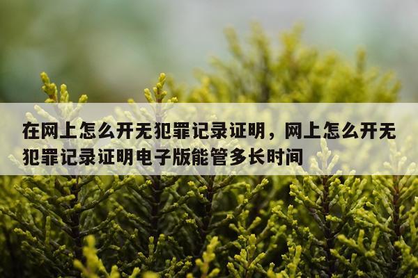 在网上怎么开无犯罪记录证明，网上怎么开无犯罪记录证明电子版能管多长时间