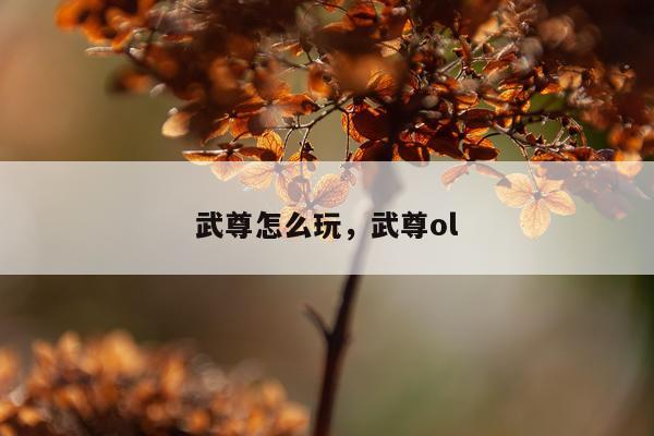 武尊怎么玩，武尊ol