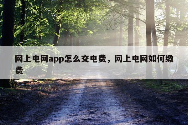 网上电网app怎么交电费，网上电网如何缴费