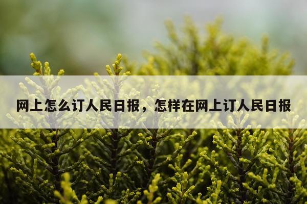 网上怎么订人民日报，怎样在网上订人民日报