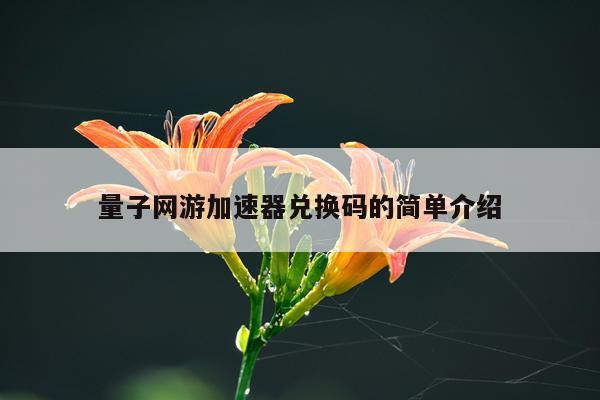 量子网游加速器兑换码的简单介绍