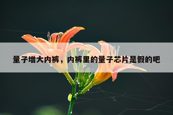 量子增大内裤，内裤里的量子芯片是假的吧