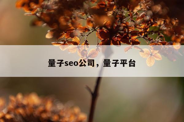 量子seo公司，量子平台