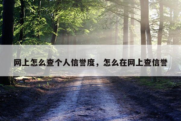 网上怎么查个人信誉度，怎么在网上查信誉