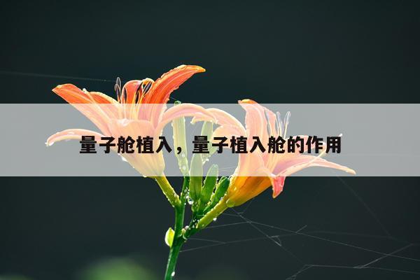 量子舱植入，量子植入舱的作用