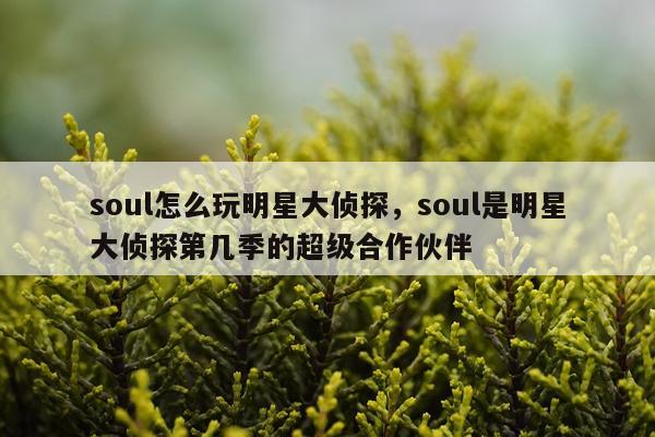 soul怎么玩明星大侦探，soul是明星大侦探第几季的超级合作伙伴
