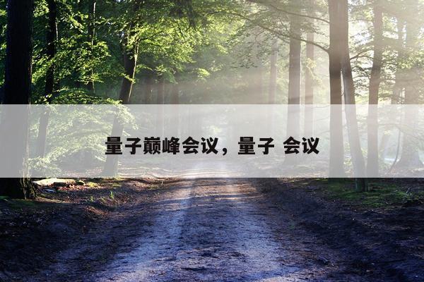 量子巅峰会议，量子 会议