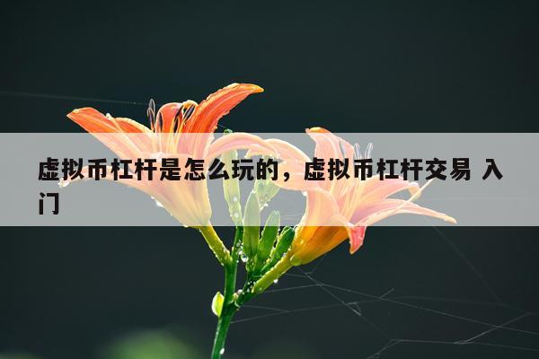 虚拟币杠杆是怎么玩的，虚拟币杠杆交易 入门