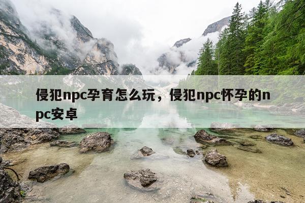 侵犯npc孕育怎么玩，侵犯npc怀孕的npc安卓