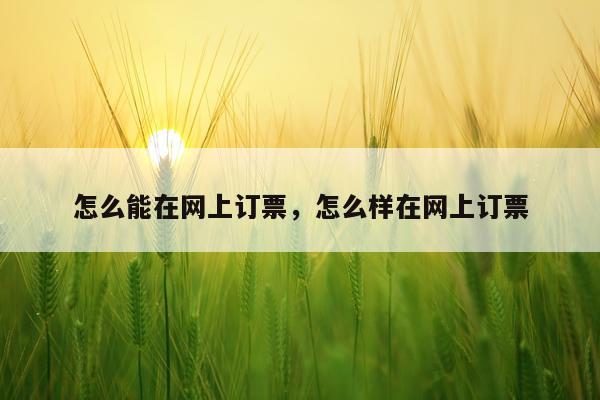 怎么能在网上订票，怎么样在网上订票
