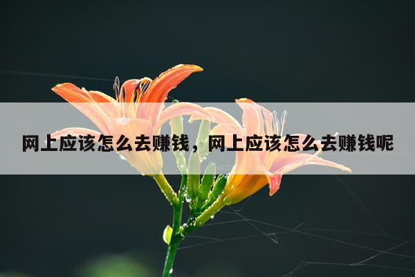 网上应该怎么去赚钱，网上应该怎么去赚钱呢
