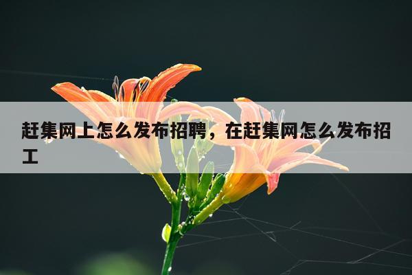 赶集网上怎么发布招聘，在赶集网怎么发布招工
