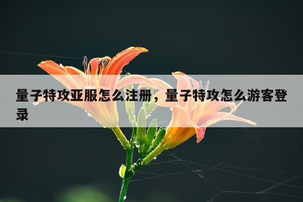量子特攻亚服怎么注册，量子特攻怎么游客登录