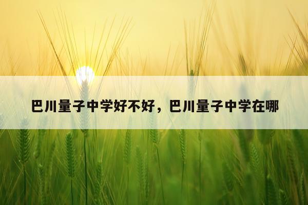 巴川量子中学好不好，巴川量子中学在哪