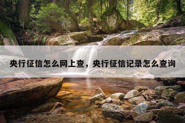 央行征信怎么网上查，央行征信记录怎么查询