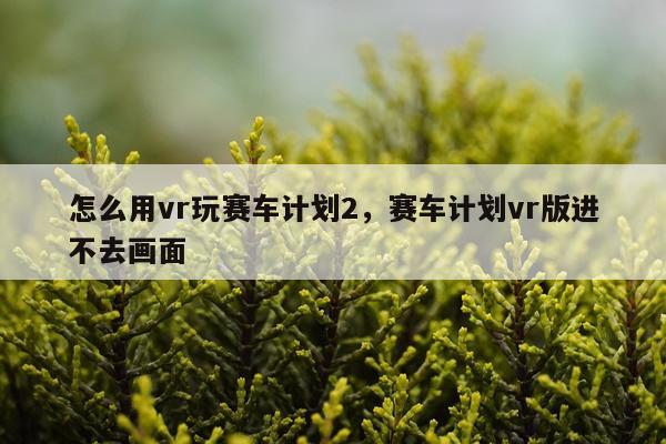 怎么用vr玩赛车计划2，赛车计划vr版进不去画面