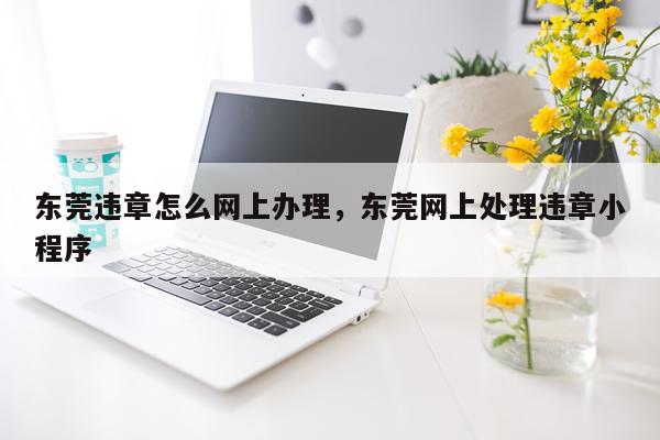 东莞违章怎么网上办理，东莞网上处理违章小程序