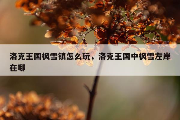 洛克王国枫雪镇怎么玩，洛克王国中枫雪左岸在哪