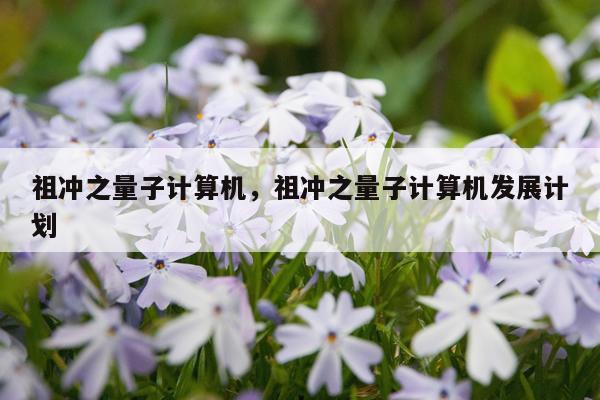 祖冲之量子计算机，祖冲之量子计算机发展计划