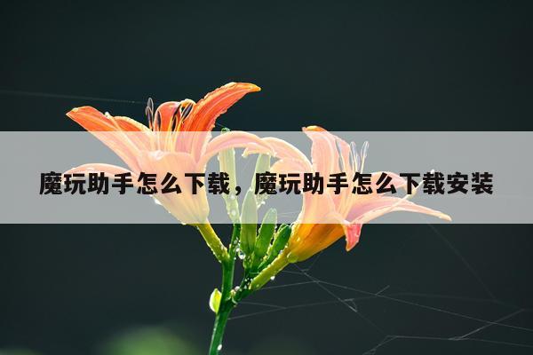 魔玩助手怎么下载，魔玩助手怎么下载安装