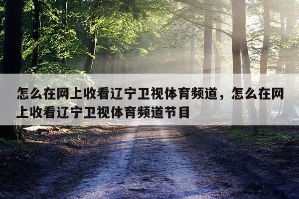 怎么在网上收看辽宁卫视体育频道，怎么在网上收看辽宁卫视体育频道节目