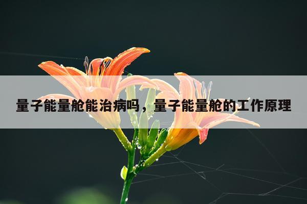 量子能量舱能治病吗，量子能量舱的工作原理