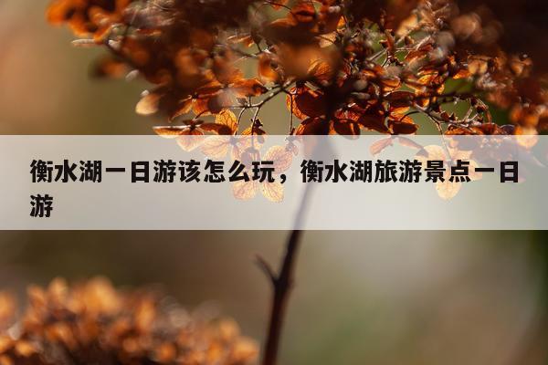 衡水湖一日游该怎么玩，衡水湖旅游景点一日游