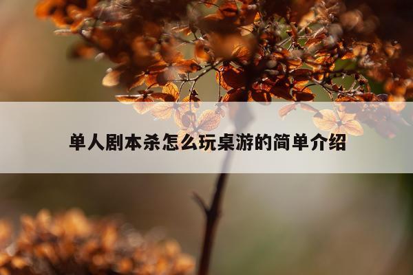 单人剧本杀怎么玩桌游的简单介绍