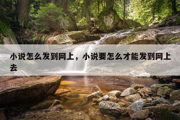 小说怎么发到网上，小说要怎么才能发到网上去