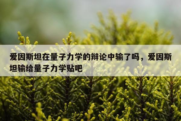 爱因斯坦在量子力学的辩论中输了吗，爱因斯坦输给量子力学贴吧