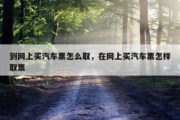 到网上买汽车票怎么取，在网上买汽车票怎样取票