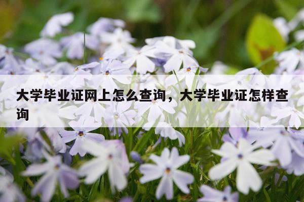 大学毕业证网上怎么查询，大学毕业证怎样查询