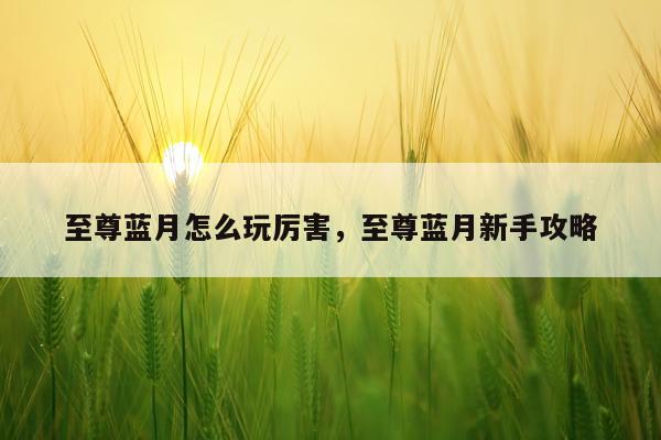 至尊蓝月怎么玩厉害，至尊蓝月新手攻略