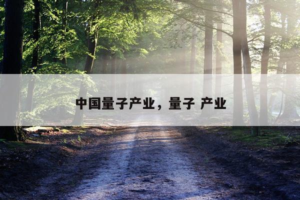 中国量子产业，量子 产业