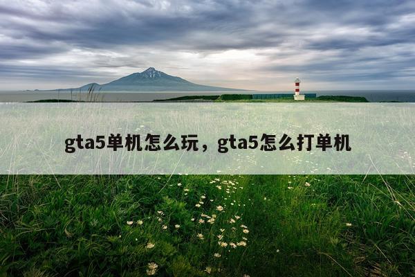gta5单机怎么玩，gta5怎么打单机