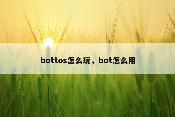 bottos怎么玩，bot怎么用