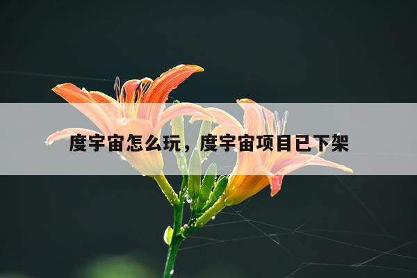 度宇宙怎么玩，度宇宙项目已下架