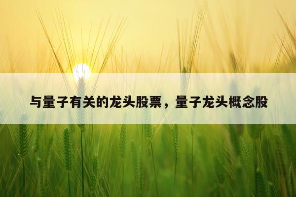 与量子有关的龙头股票，量子龙头概念股