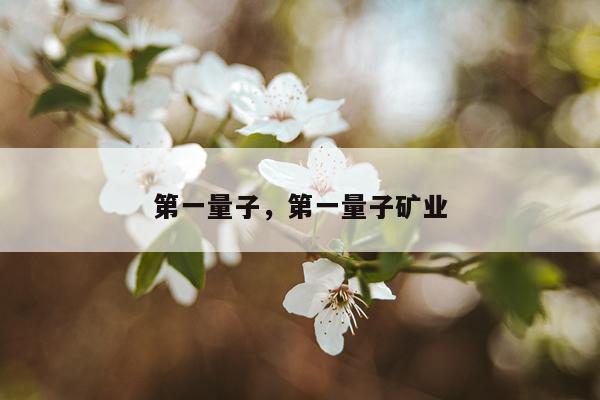 第一量子，第一量子矿业