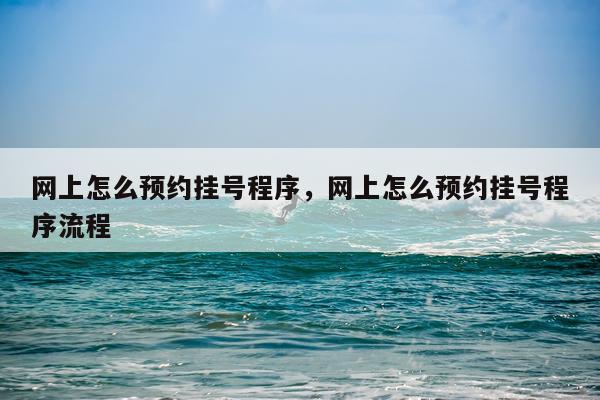 网上怎么预约挂号程序，网上怎么预约挂号程序流程