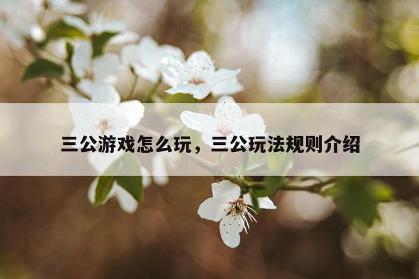 三公游戏怎么玩，三公玩法规则介绍